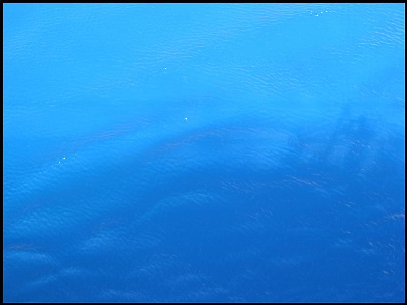 2008-09-26-12.43.44